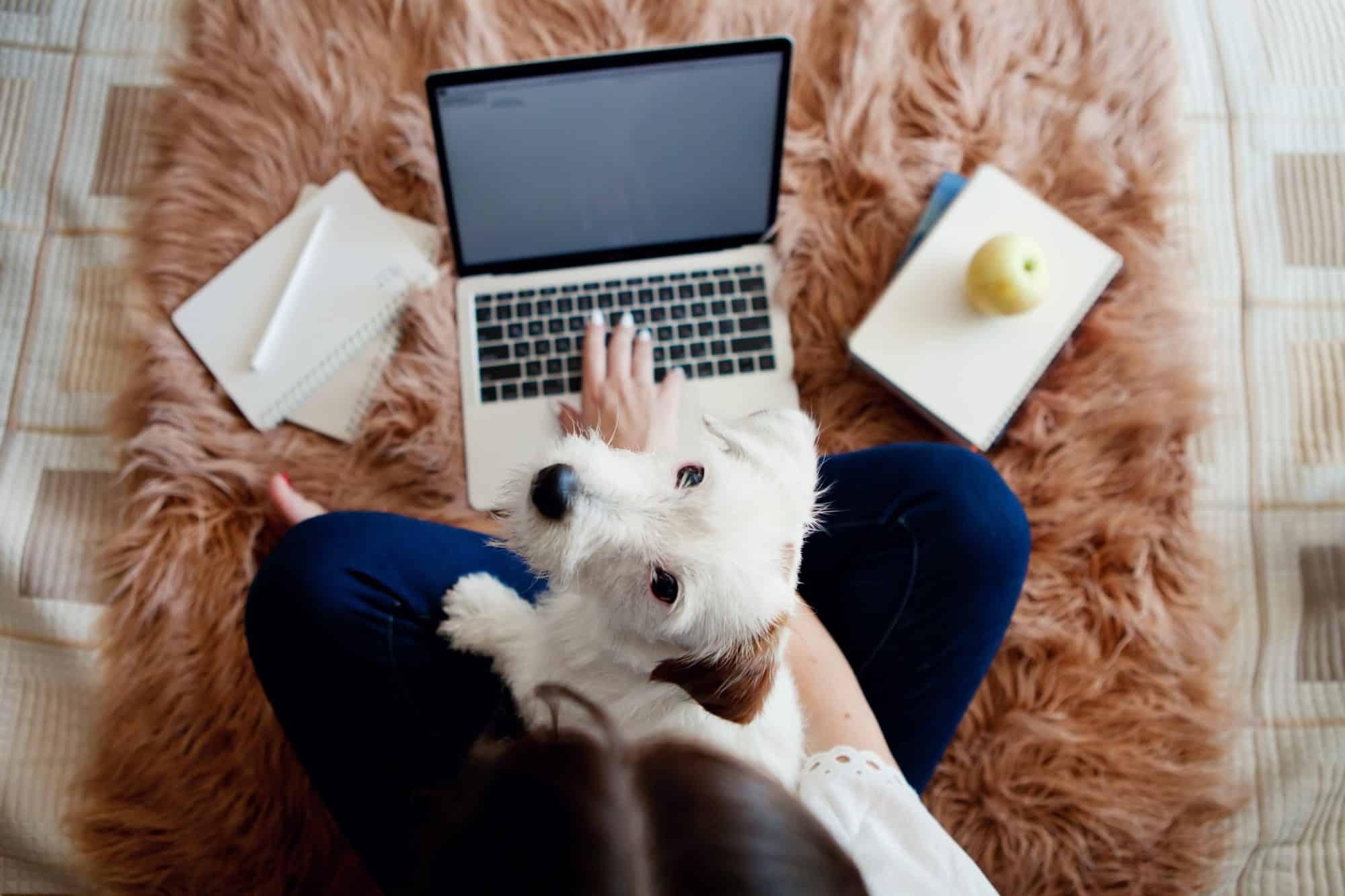 Young woman with pet in lap at tampa, fl apartment